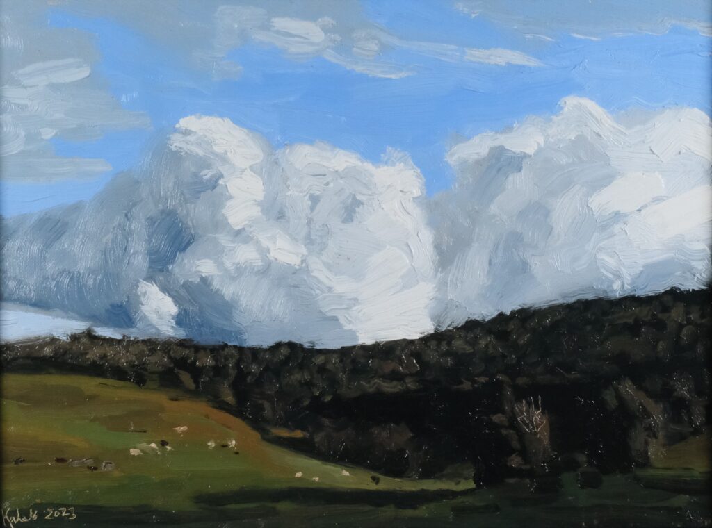 Cow field II