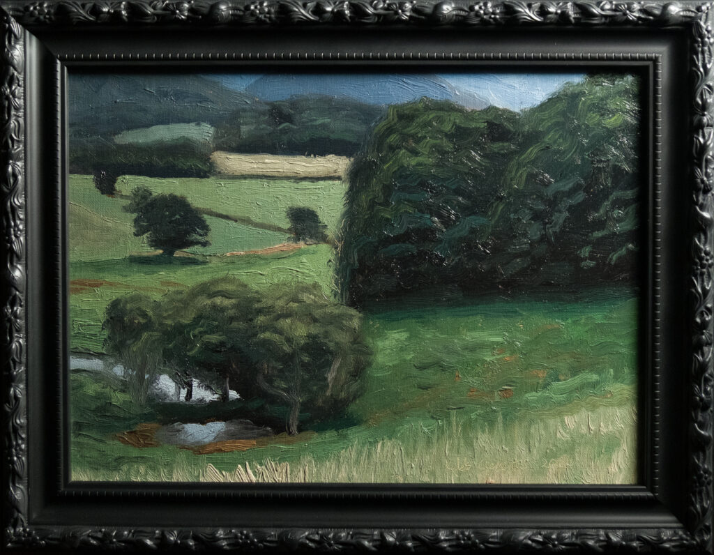 Tweed Regional View
