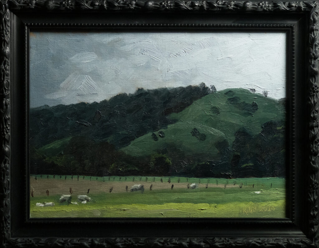 Overcast Hillside