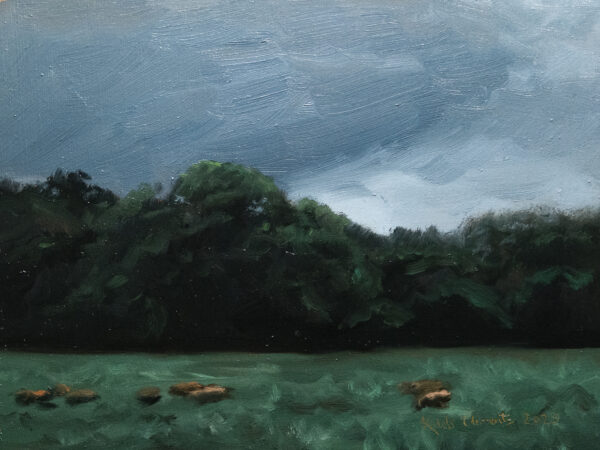 Drizzling Field