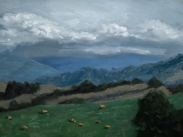 Tweed Valley Ranges II