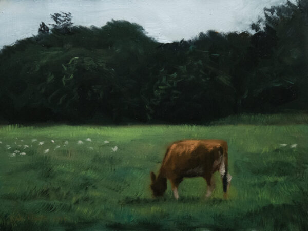 Cow Grazing No. 2
