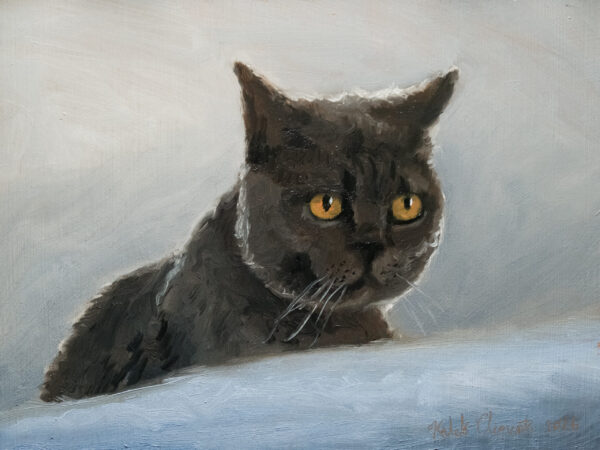 Cat Portrait Commission No. 1