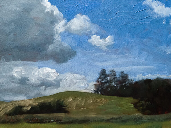 Hillside Pine Trees