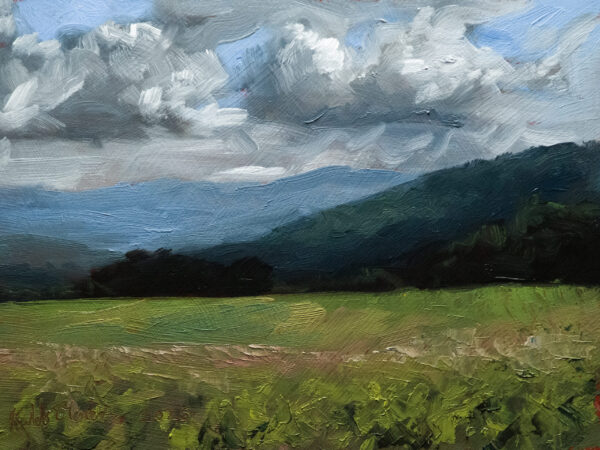 NSW Valley