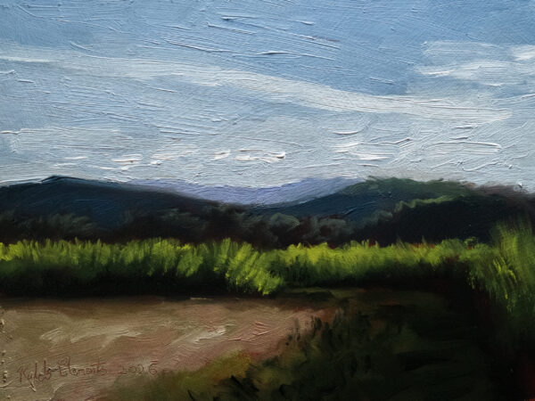 Murbah Cane Fields