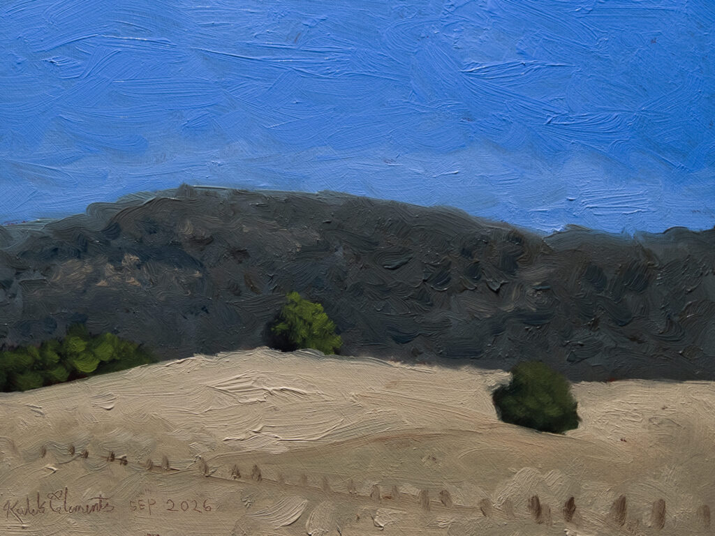 Dry Golden Grass